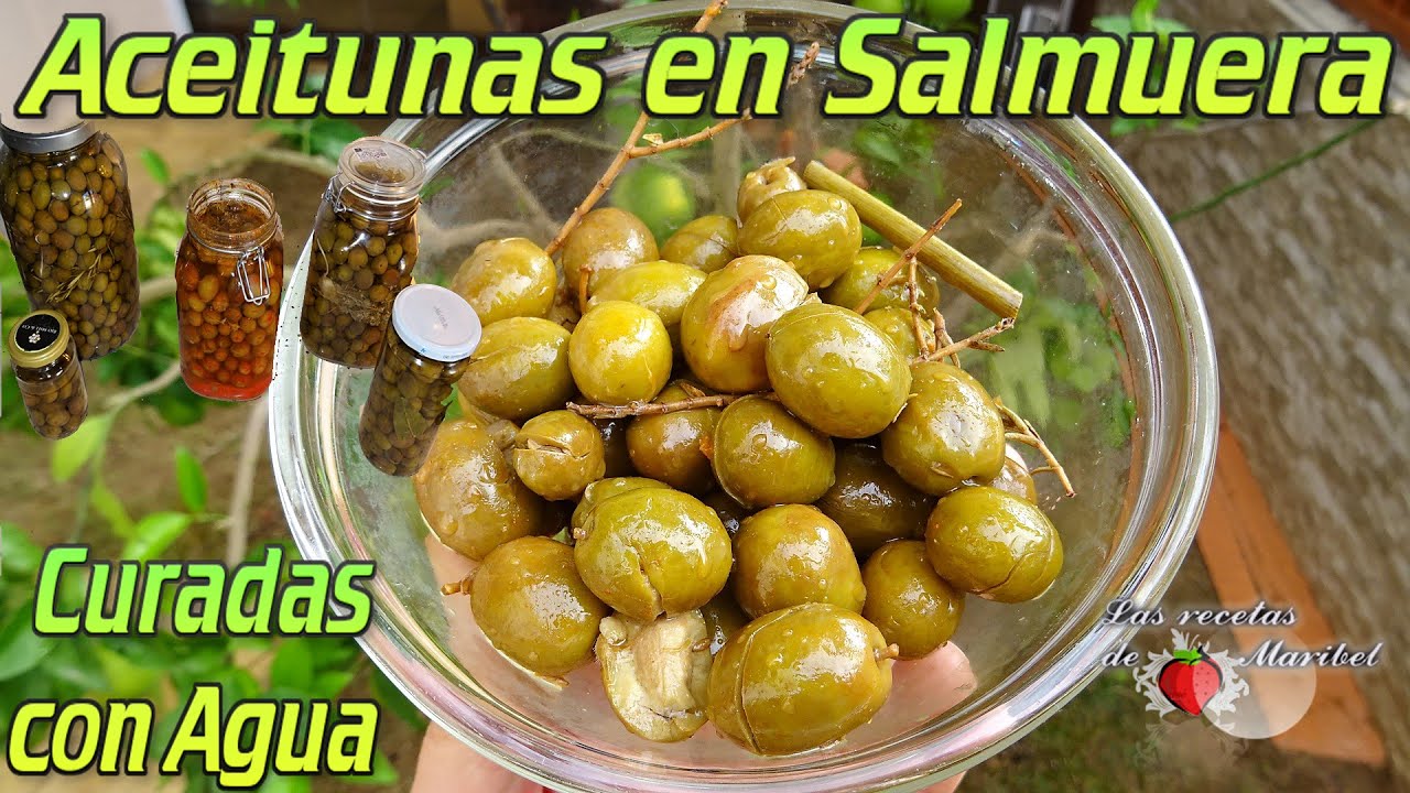 Aprende C Mo Curar Tus Aceitunas Con Sal Gruesa En Casa Delicia