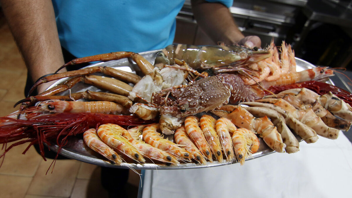 Disfruta Del Mejor Cocedero De Marisco En Córdoba Y Saborea El Mar En